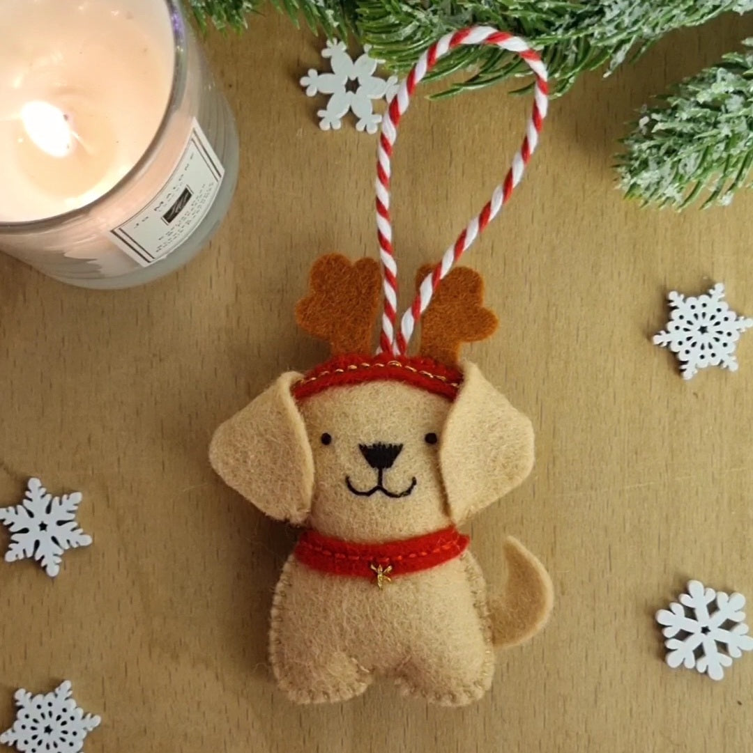 Advent Calendar 2024 Festive Dog - Day 11 PDF pattern