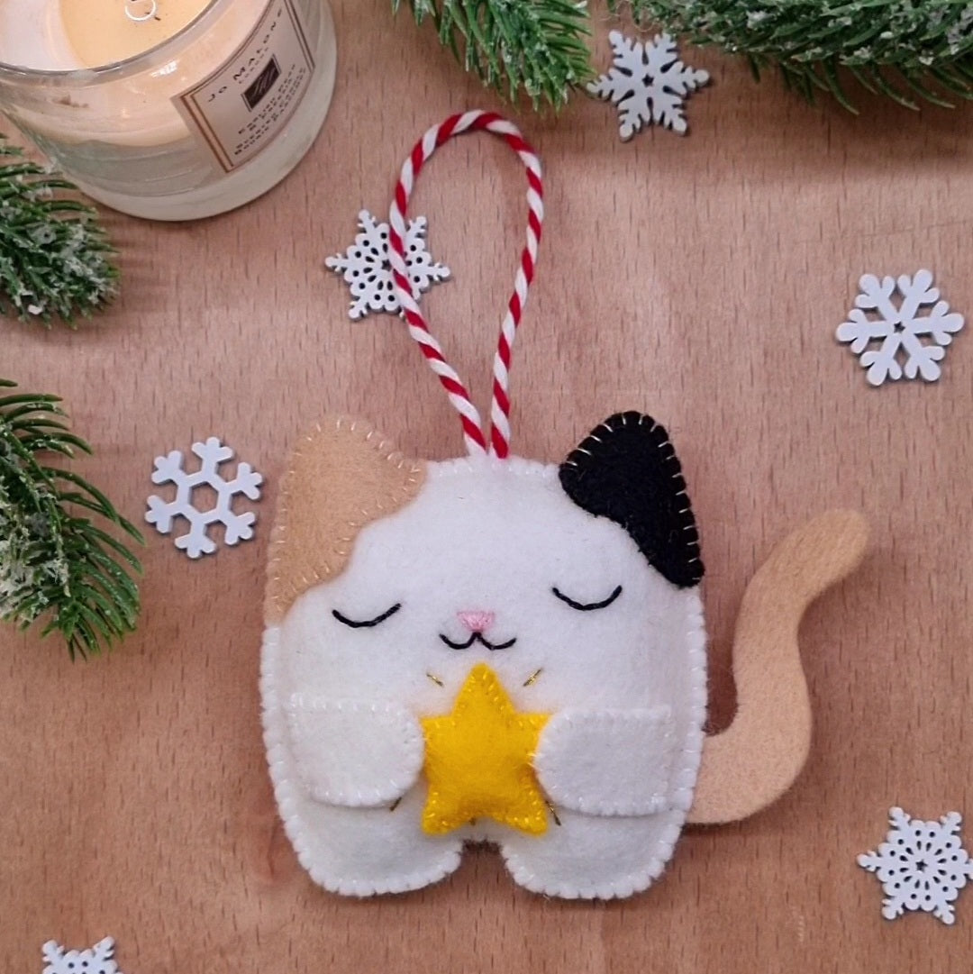 Advent Calendar 2024 Cat with a star- Day 14 PDF pattern