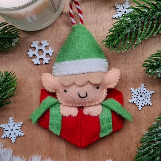 Advent Calendar 2024 Elf in a Gift Box - Day 21 PDF pattern